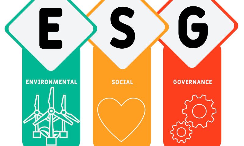 Evaluating the Success of ESG Investing 1