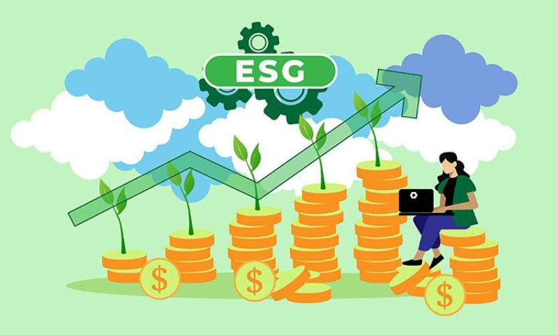 Evaluating the Success of ESG Investing 2