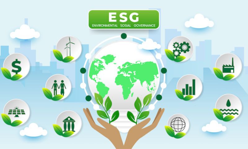 Evaluating the Success of ESG Investing 3