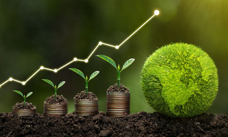 Measuring the Impact of Sustainable Investments