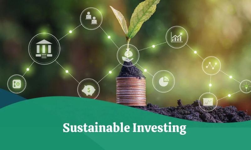 Sustainable Investing Regulations 1