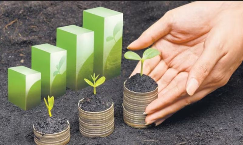 Sustainable Investing: What’s Next for Eco-Savvy Investors?