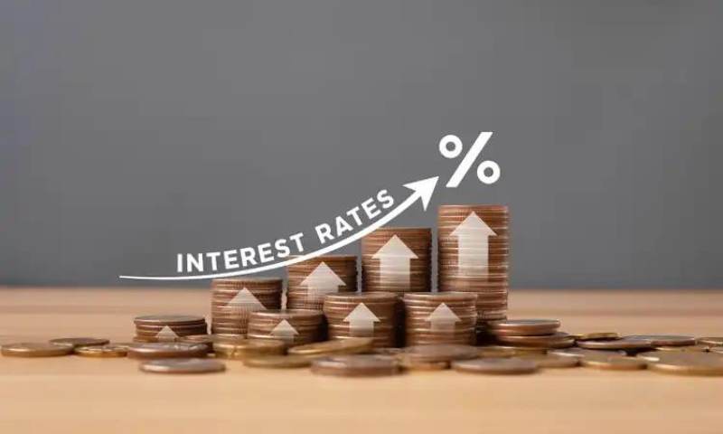 Central Bank Interest Rates Hike: Navigating the Financial Upheaval Ahead