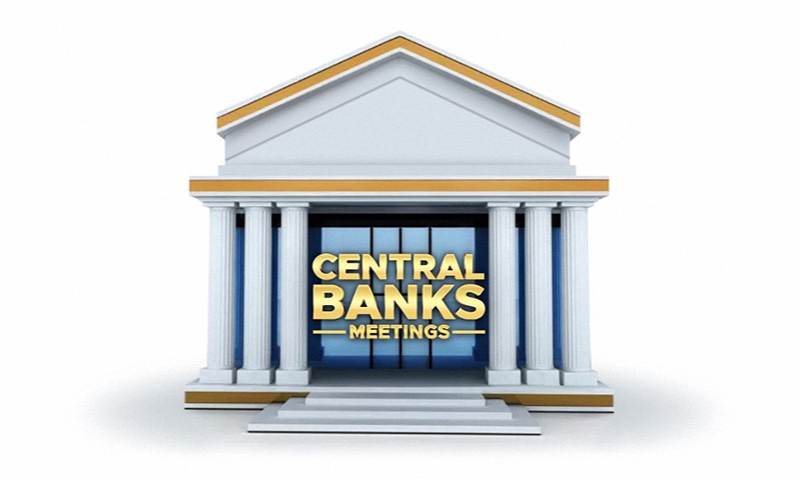 Central Bank Role: Steering the Economic Ship Through Uncharted Waters