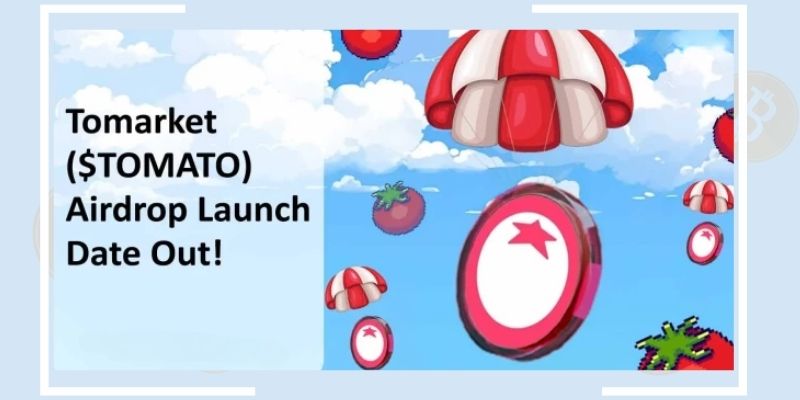 The Tomarket Airdrop Countdown: An Exciting Opportunity for $TOMA Holders